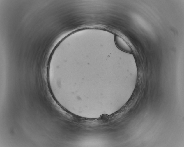 X0000110680959200907101124
