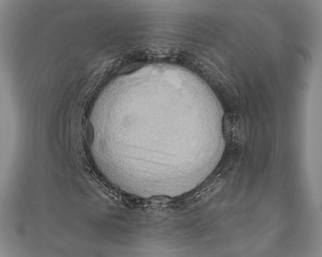 X0000110680961200907101124
