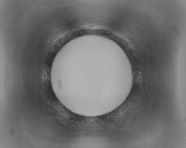 X0000110680966200907101124
