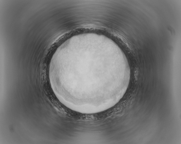 X0000110680968200907101124
