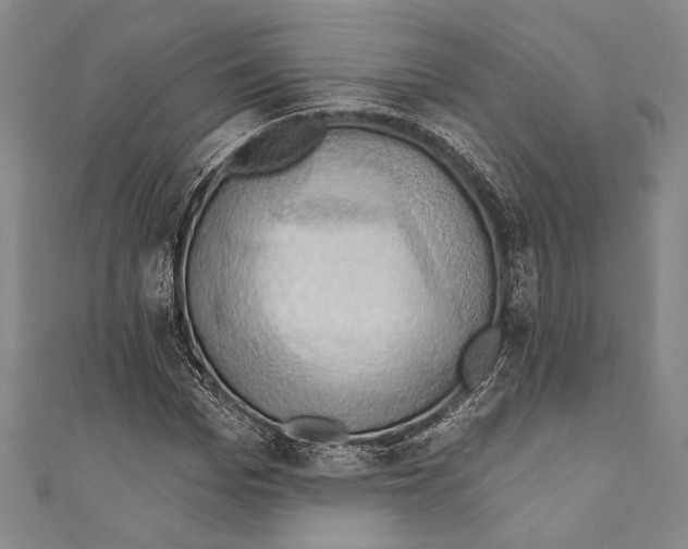 X0000110680969200907101124