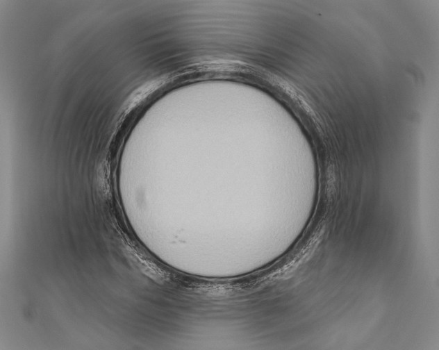X0000110680970200907101124