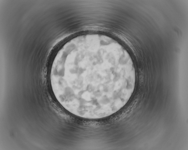 X0000110680971200907101124