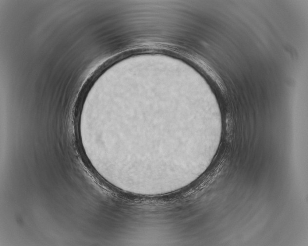 X0000110680972200907101124