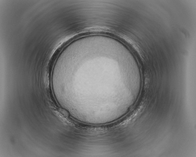X0000110680973200907101124