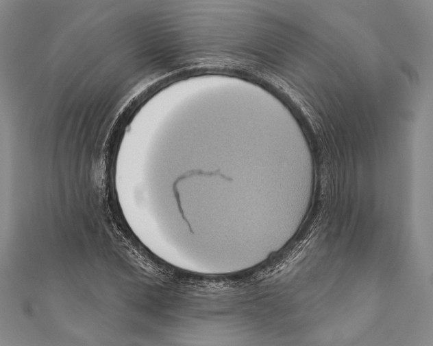 X0000110680975200907101124