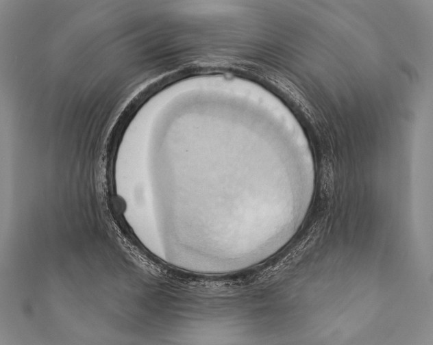 X0000110680976200907101124