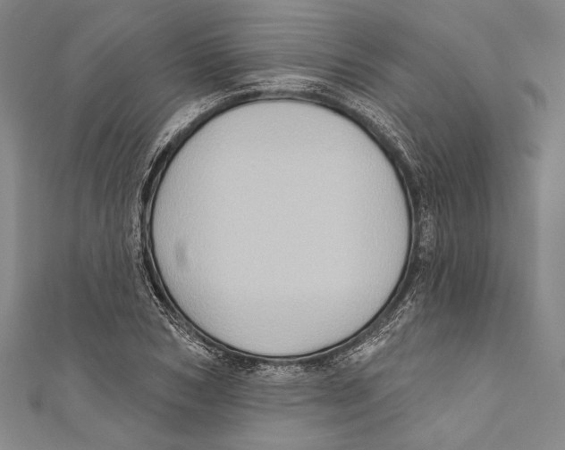X0000110680978200907101124