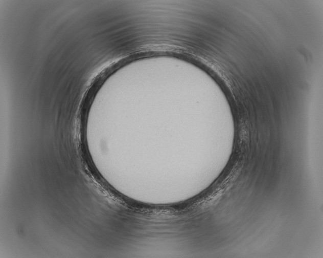 X0000110680979200907101124