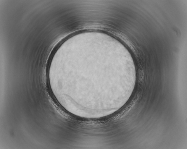 X0000110680980200907101124