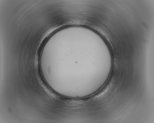 X0000110680981200907101124