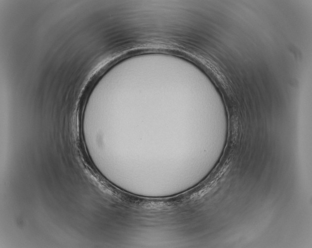 X0000110680982200907101124