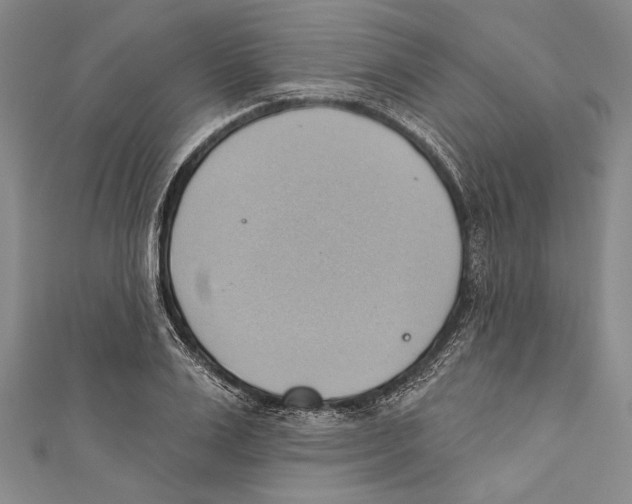X0000110680983200907101124
