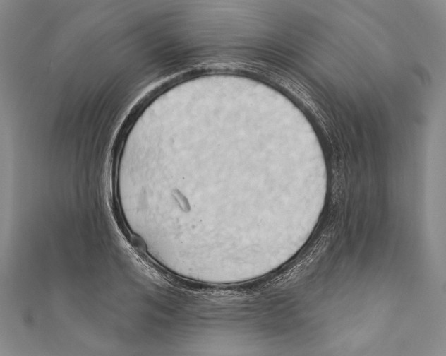 X0000110680984200907101124
