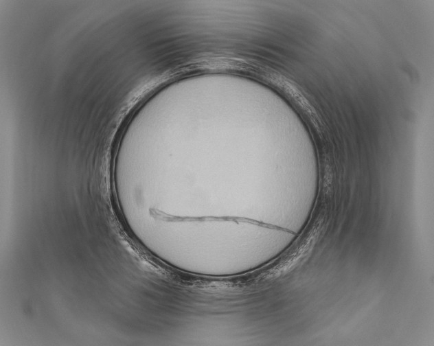 X0000110680986200907101124
