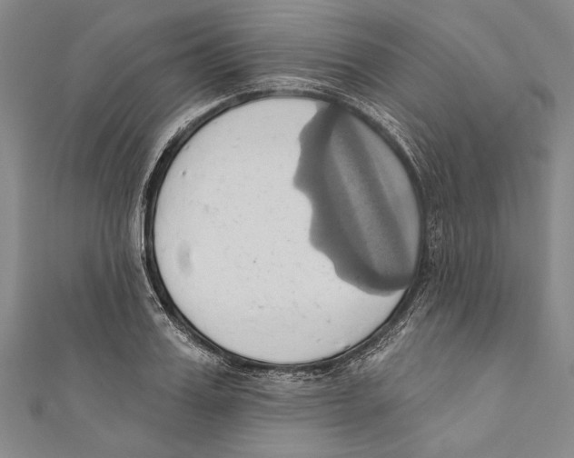X0000110680987200907101124