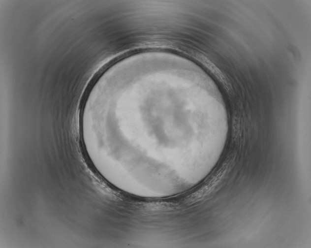 X0000110680988200907101124
