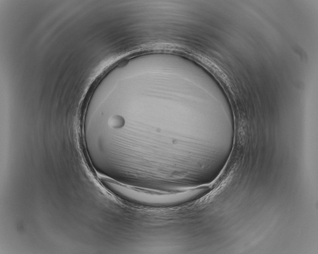 X0000110680989200907101124