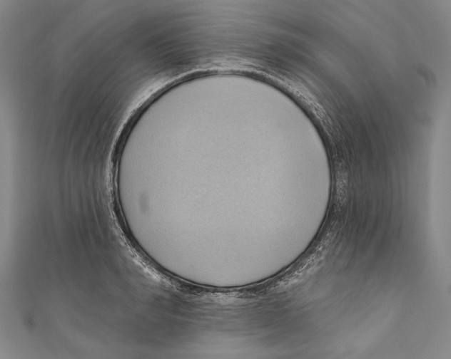X0000110680990200907101123