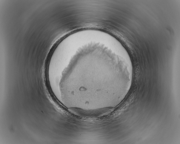 X0000110680991200907101123