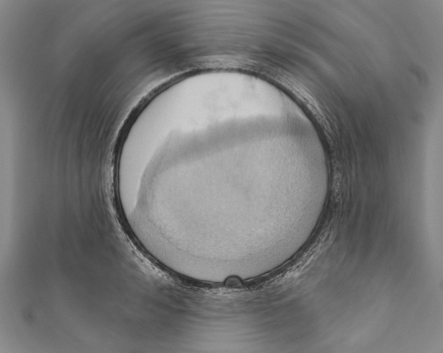 X0000110680992200907101123