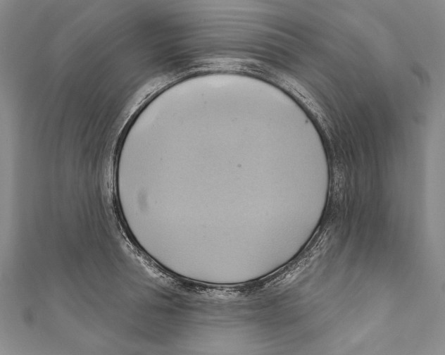 X0000110680994200907101123