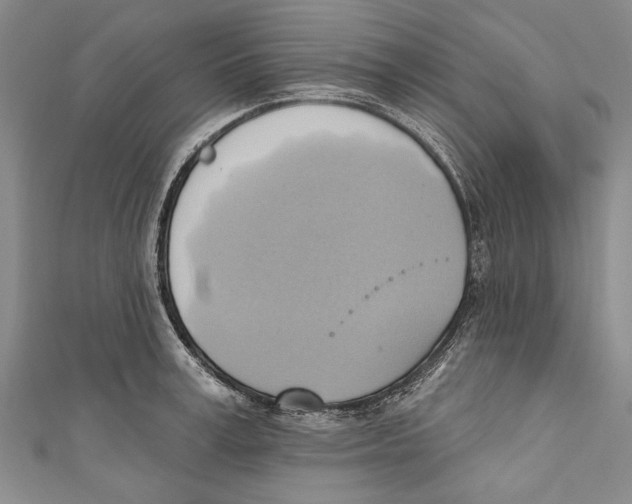 X0000110680995200907101123
