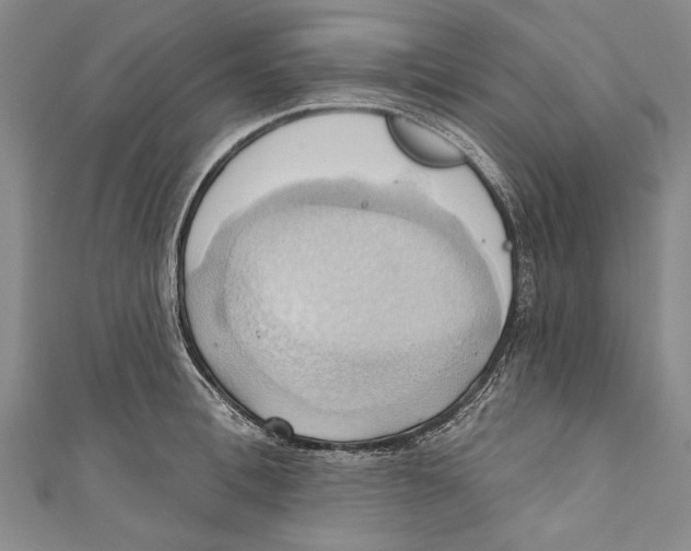 X0000110680996200907101123