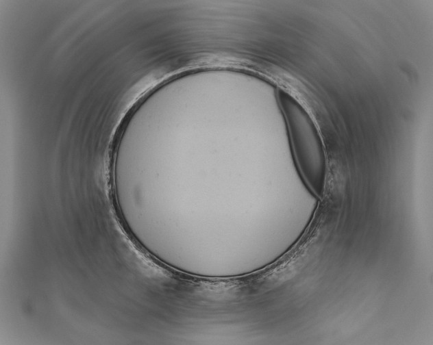 X0000110680997200907101123