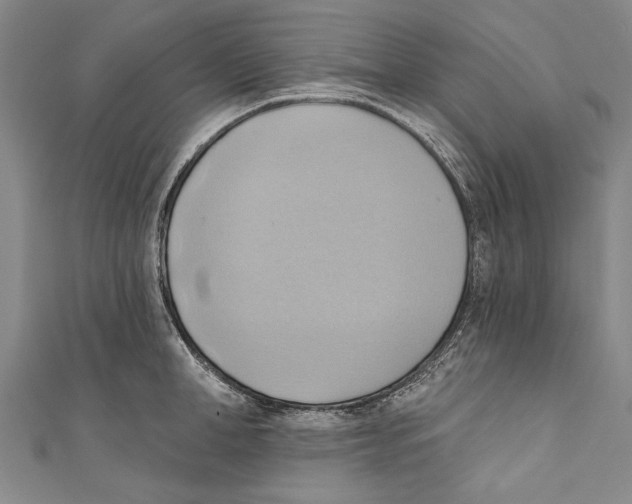 X0000110680998200907101123