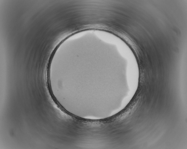 X0000110680999200907101123