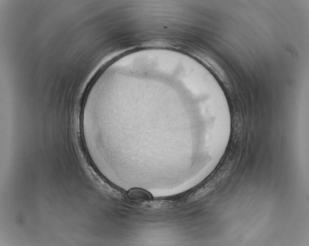 X0000110681000200907101123
