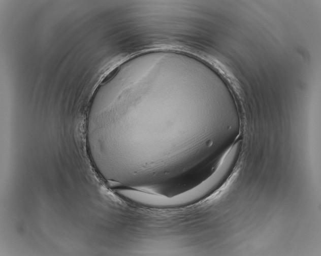 X0000110681001200907101123