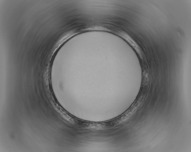 X0000110681002200907101123