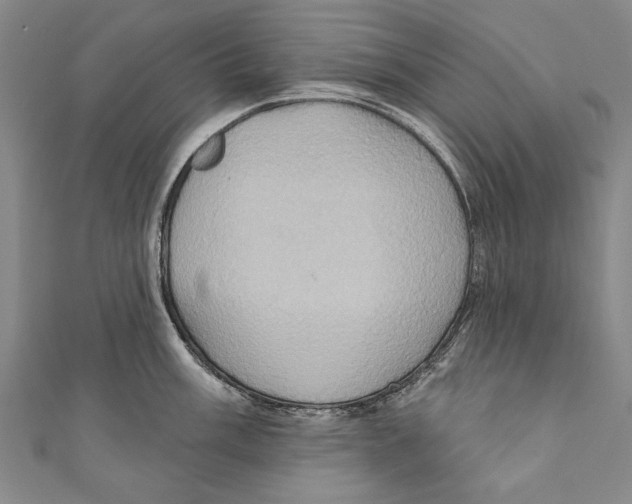 X0000110681003200907101123