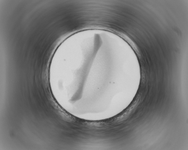 X0000110681004200907101123