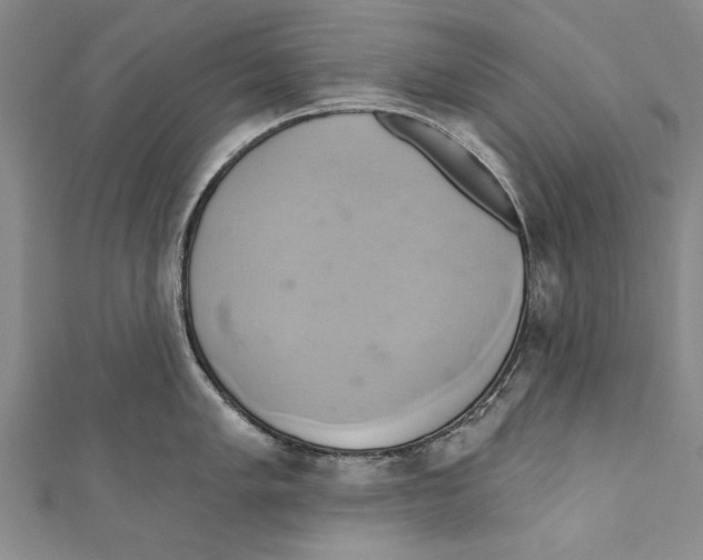 X0000110681005200907101123