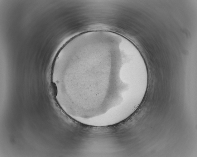 X0000110681008200907101123