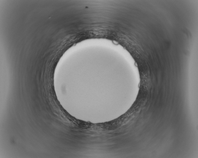 X0000110681009200907101123
