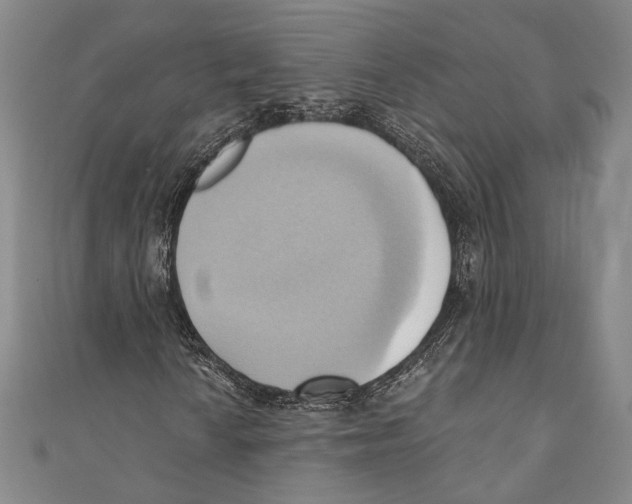 X0000110681010200907101123