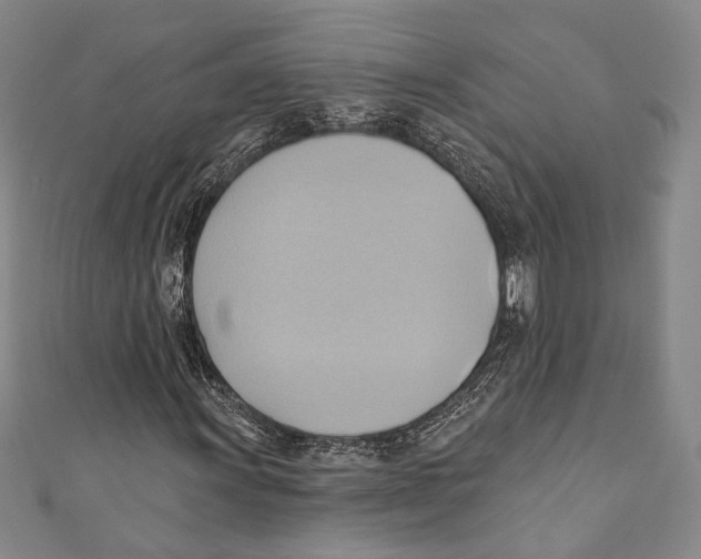 X0000110681011200907101123
