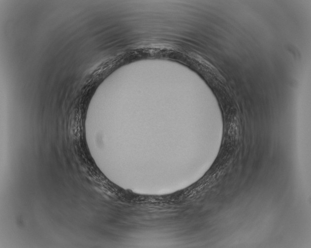 X0000110681014200907101123