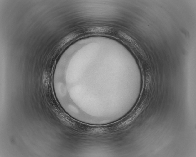 X0000110681017200907101123
