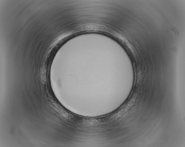 X0000110681019200907101123
