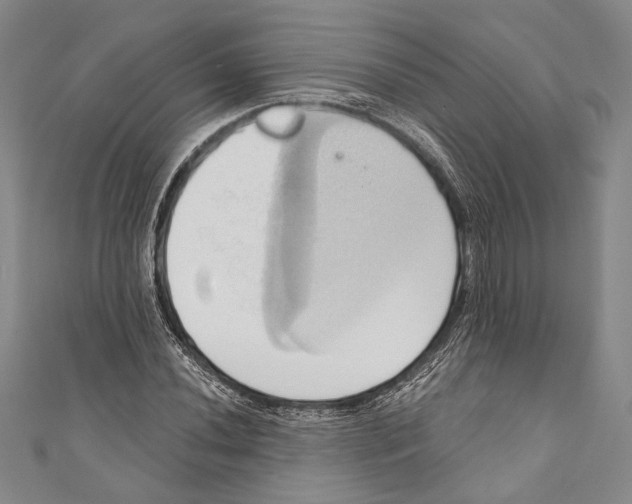 X0000110681020200907101123