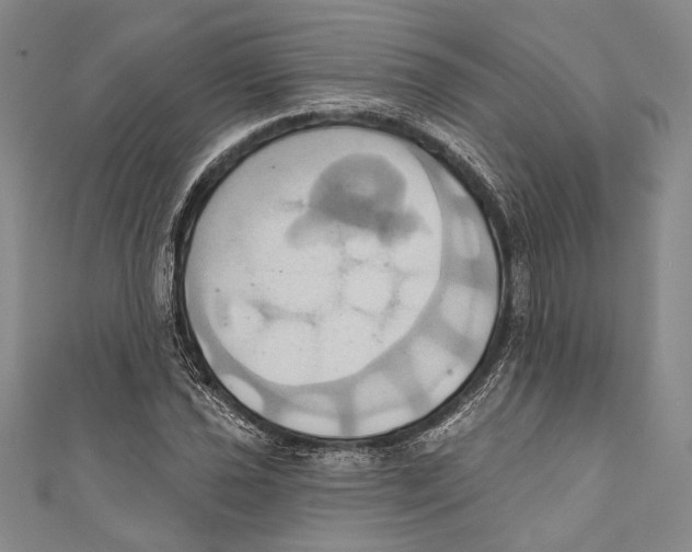 X0000110681021200907101123