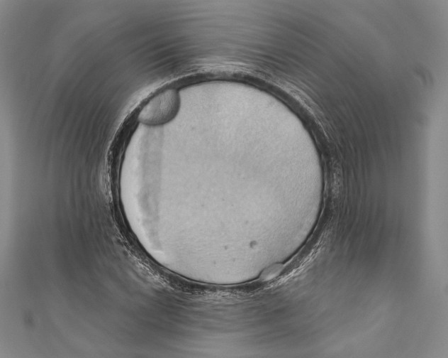 X0000110681022200907101123