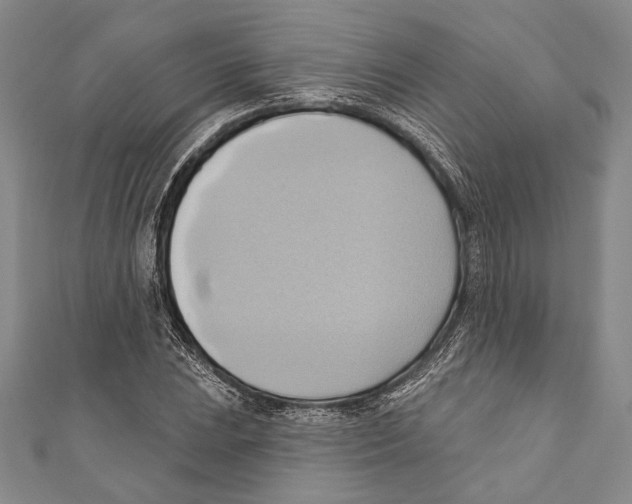 X0000110681023200907101123
