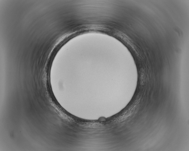 X0000110681024200907101123