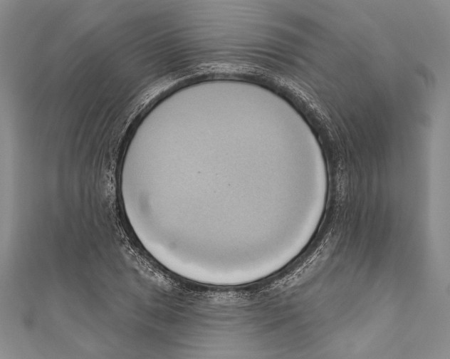 X0000110681025200907101123